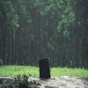 비가 내리던 그 날 (The day it rained) (Inst.)