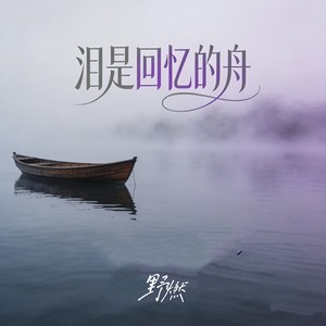泪是回忆的舟