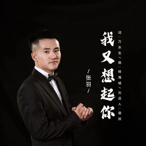 我又想起你 (张羽版|伤心版)
