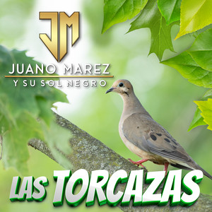 Las Torcazas