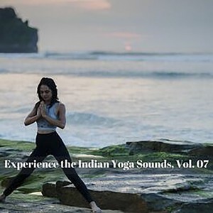 Experience The Indian Yoga Sounds, Vol. 07