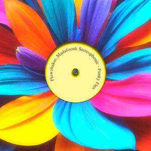 Funky Flex (Extended Mix)