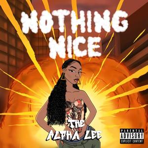 Nothing Nice (Explicit)