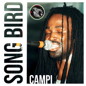 Song Bird