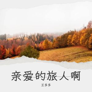 亲爱的旅人啊