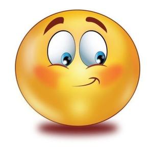 absolute stupidity (Explicit)