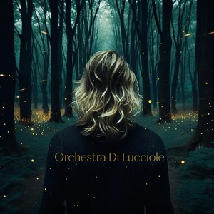 Orchestra di lucciole