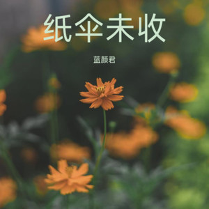 纸伞未收封面