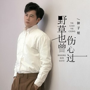 野草也曾伤心过 (DJ京仔版)