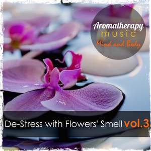 Aromatherapy: Music, Mind & Body, Vol. 3