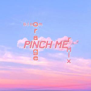 Pinch Me (Orange Bloom Remix)