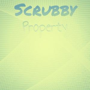 Scrubby Property