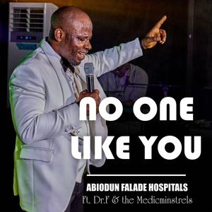 No one like you (feat. Dr.F & Medicminstrels)