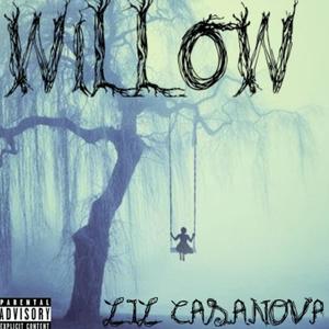 willow (Explicit)