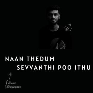 Naan Thedum Sevvanthi poo Ithu