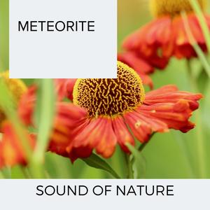 Meteorite - Sound of Nature