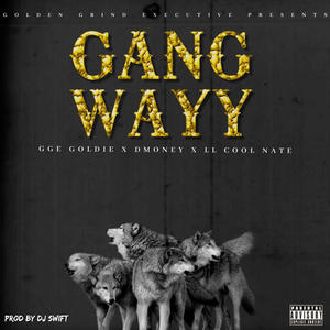 Gang Wayy (feat. DMoney & LL Cool Nate) [Explicit]