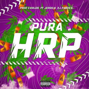 PURA HRP (feat. Jeroo K) [Explicit]