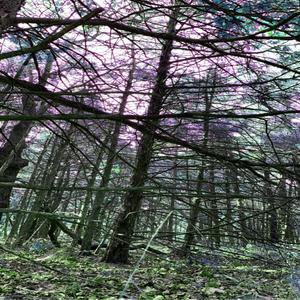 DO YOU REALLY LOVE ME? (Explicit)