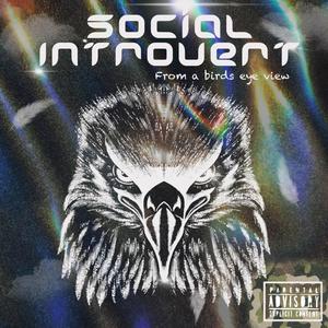 Social Introvert (From A Birds Eye View) [Explicit]