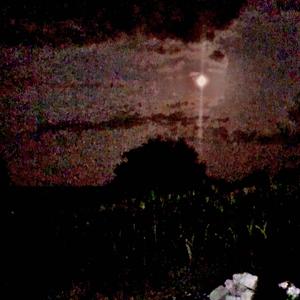 Drug induced psychotic episode