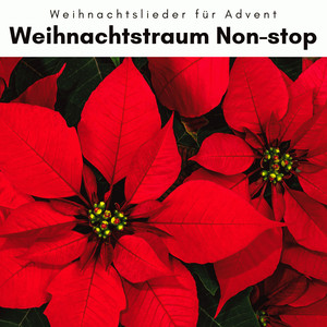 1 0 1 Weihnachtstraum Non-stop Vol. 1