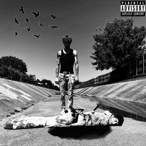 Reality (feat. PAXX)