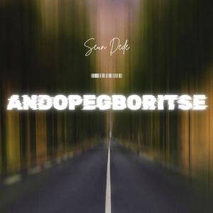 Andopegboritse