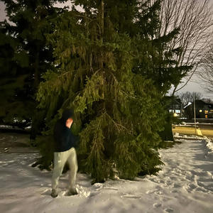 NPD (feat. Luni2paid444) (Explicit)