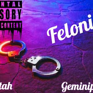 Felonies (Explicit)