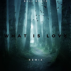 What Is Love (Remix)