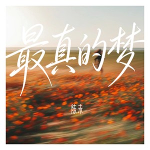 最真的梦-陈未