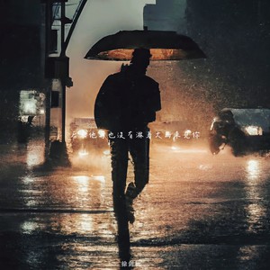 徐剑秋《后来他再也没有淋着大雨来见你》[MP3_LRC]_MP3下载