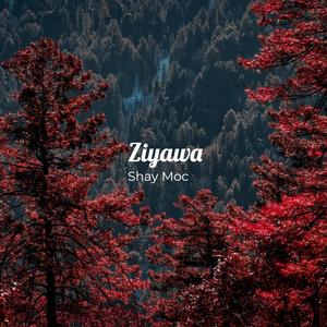 Ziyawa