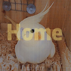 Home