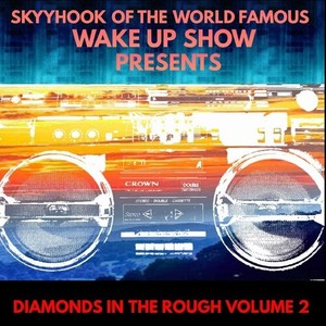 Diamonds in the Rough, Vol. 2 (Skyyhook of the World Famous Wake Up Show Presents) [Explicit]