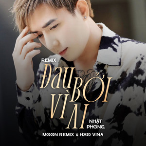 Đau Bởi Vì Ai (Remix)