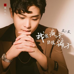 我像疯子你像骗子（DJ版）