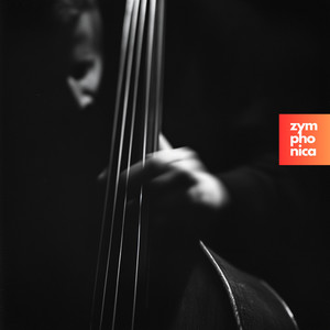 Just Give Me a Reason (Symphony Orchestra Version)