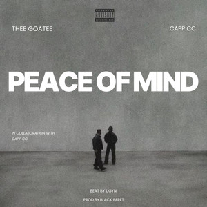 Peace of Mind (Remix|Explicit)
