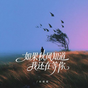 田媛媛 - 如果秋风知道我还在等你 (女声版)
