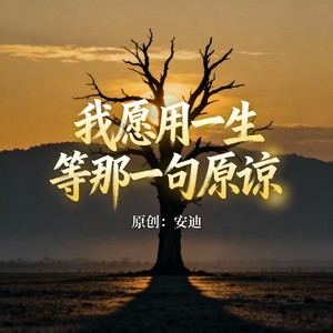 我愿用一生等那一句原谅