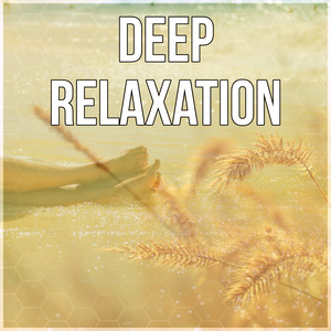 Deep Relaxation - Stress Relief, Spiritual Healing, Hypnosis, Nature Sounds, New Age Music, Pure Relaxation, Mindfulness Meditation