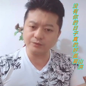 没有你的日子真的好孤寂