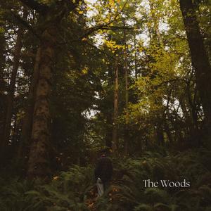 The Woods