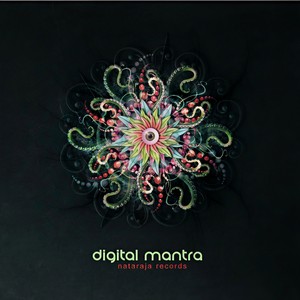 Pulsar (Original Mix)