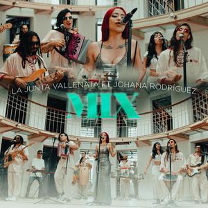 MIX VALLENATO (feat. johana rodriguez)