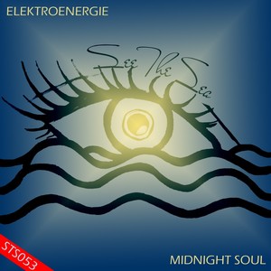 Midnight Soul (Original Mix)