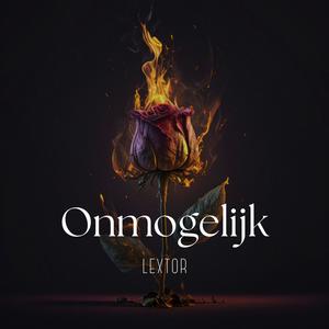 Onmogelijk