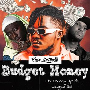 Budget Money (feat. Emogy Djr & Liugee Boi)